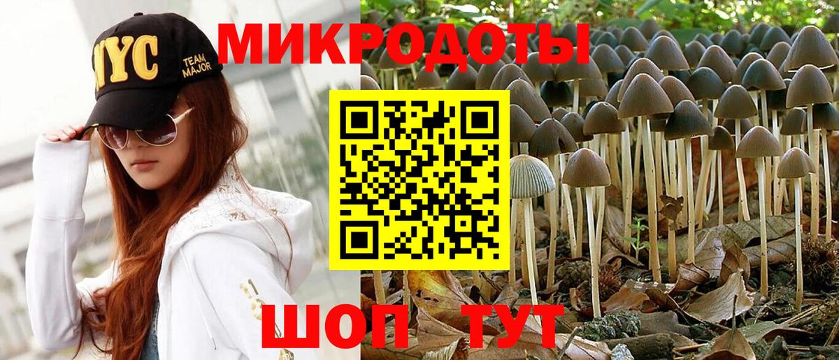 Галлюциногенные грибы GOLDEN TEACHER  Вход с VPN  Галлюциногенные грибы мухоморы  сколько стоит  Ахтубинск 